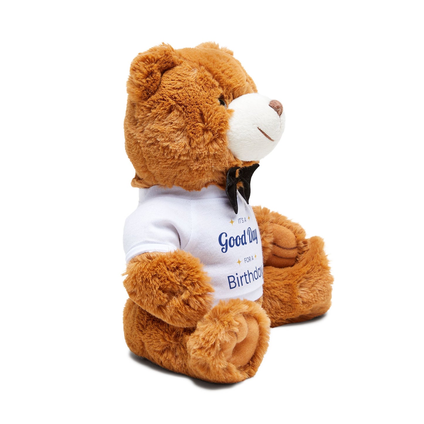 Birthday Teddy Bear with T-Shirt