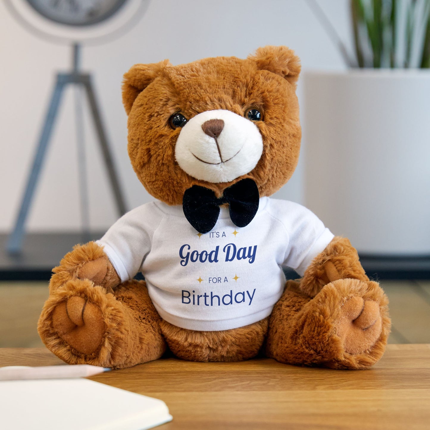 Birthday Teddy Bear with T-Shirt