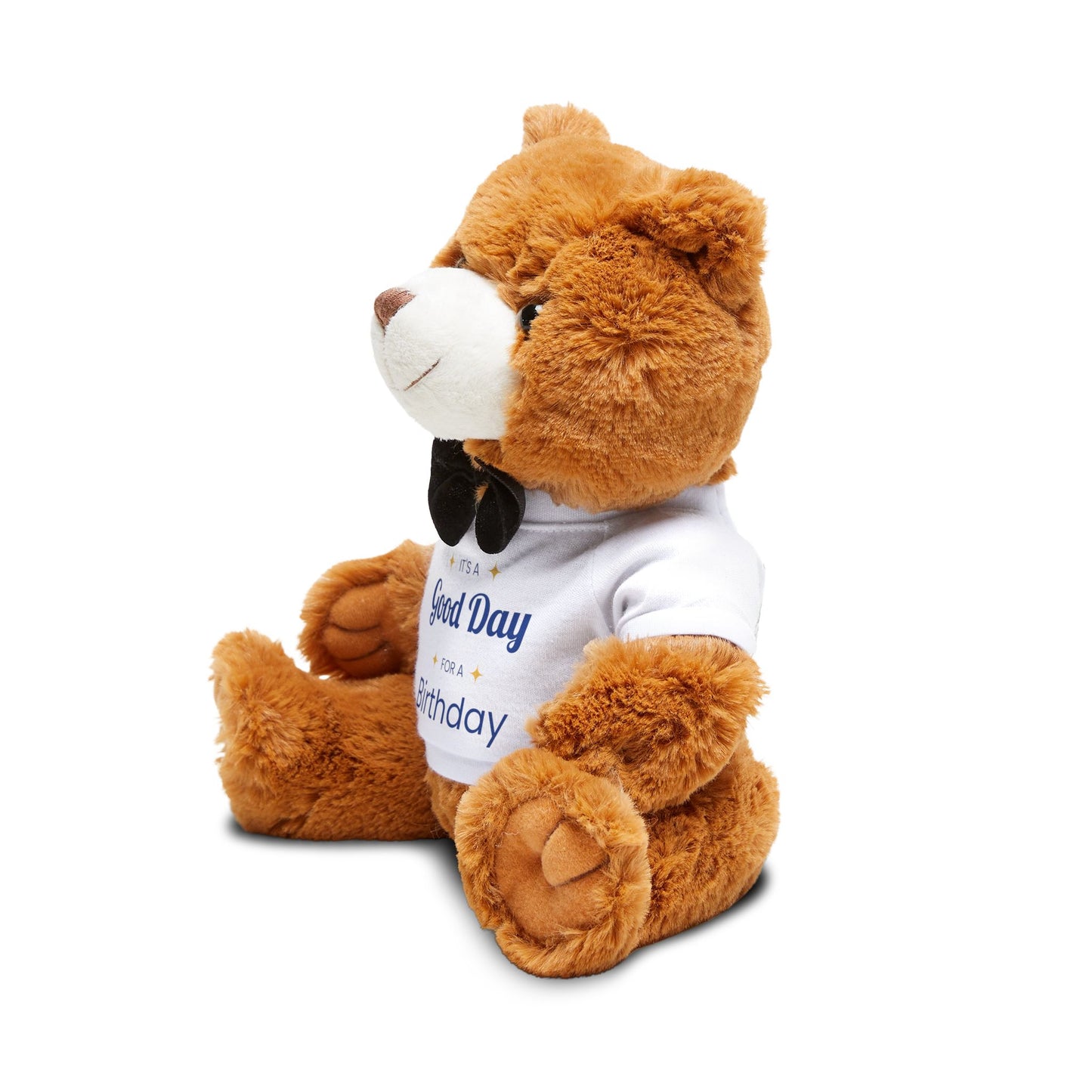 Birthday Teddy Bear with T-Shirt