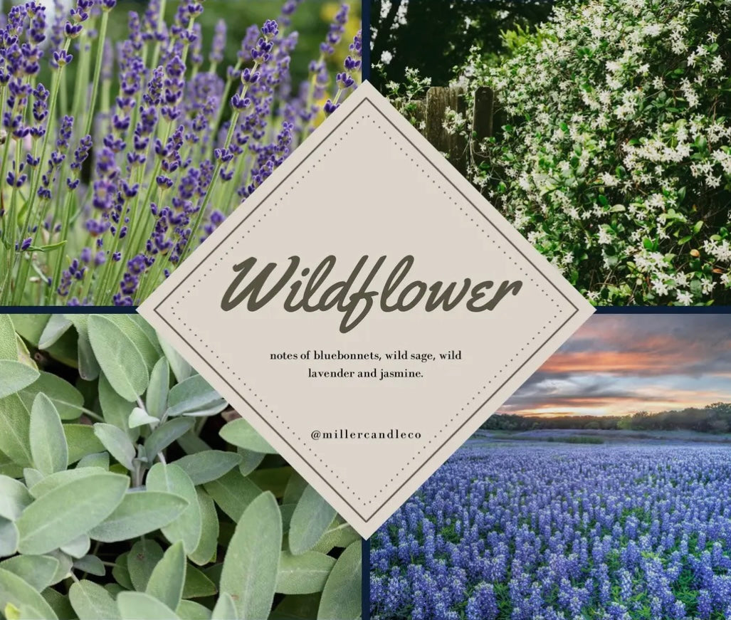 Lotion, Barn & Hive Women's Goat Milk & Honey Lotion, Various Scents - 4 oz