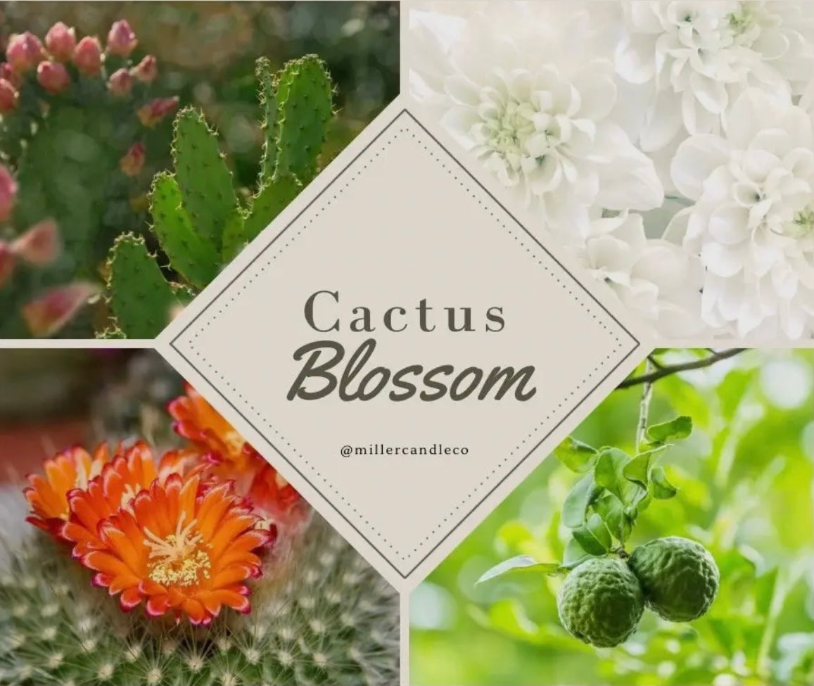 Lotion, Barn & Hive Women's Goat Milk & Honey Lotion, Various Scents - 4 oz