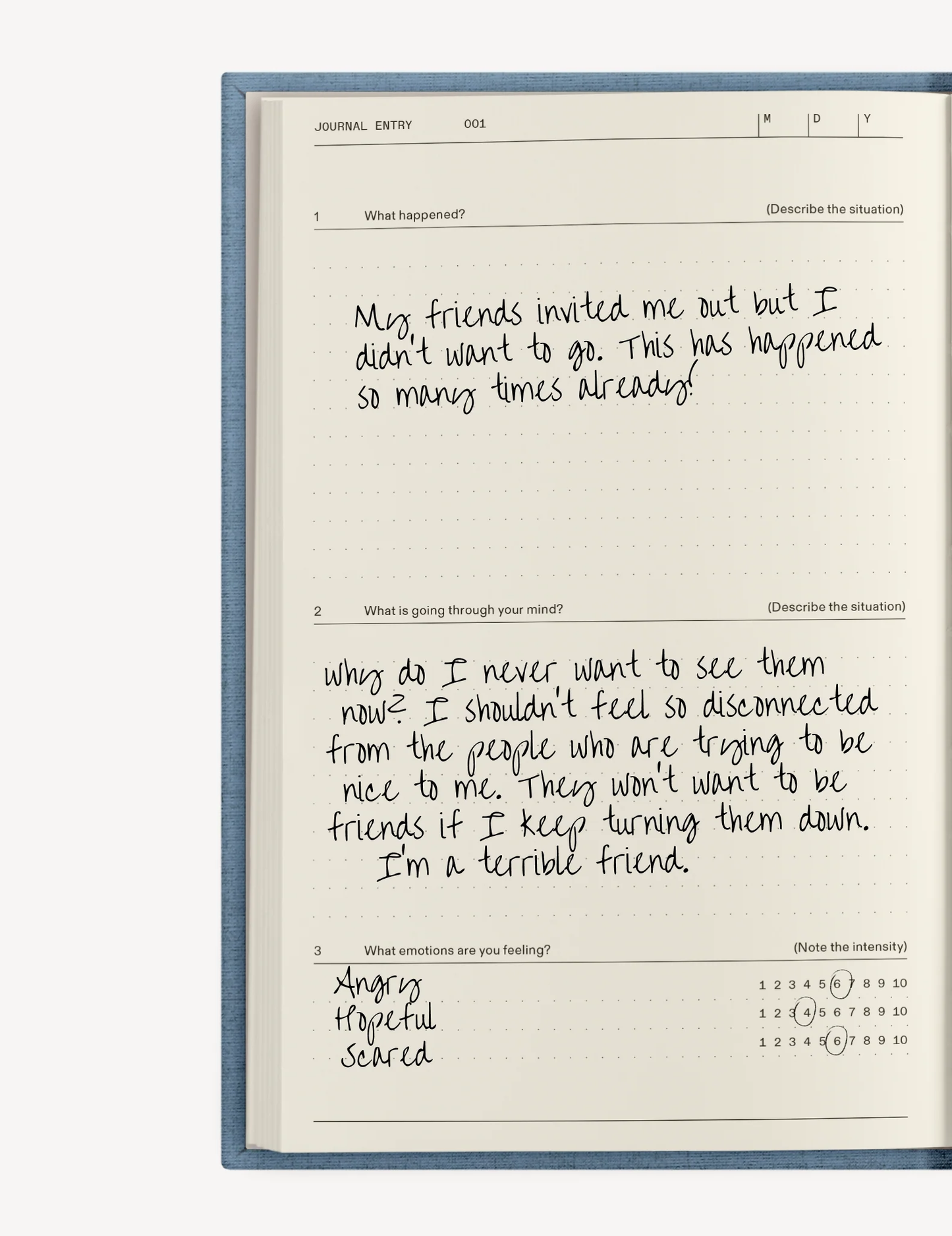 Journals, Therapy Notebooks, The Anti-Anxiety Notebook - 1 CT