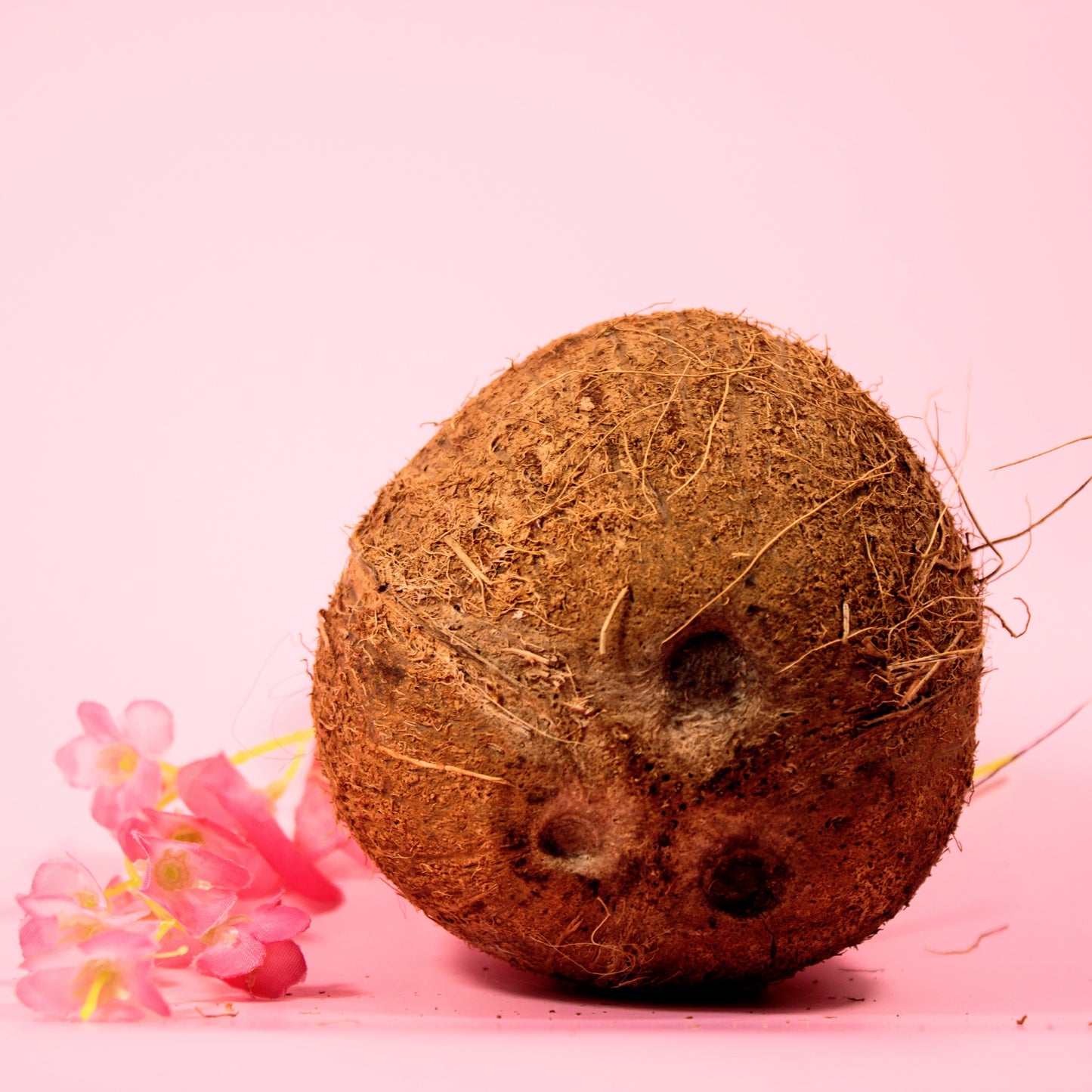 Coconut Milk Twisting Crème | Coconut Curl Cream | Natural Haircare